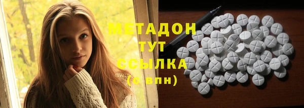 индика Алзамай