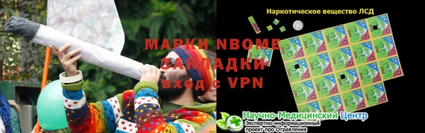 индика Алзамай