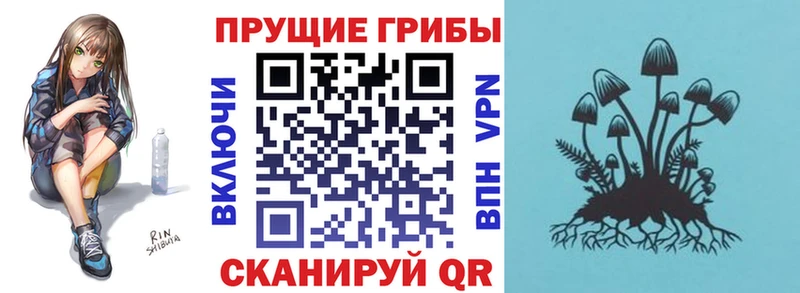 Галлюциногенные грибы GOLDEN TEACHER  Димитровград 